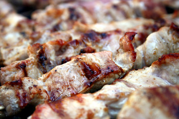 Closeup of grilled slices of meat