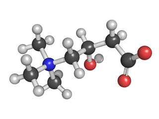 Carnitine food supplement molecule, chemical structure