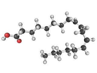 Omega-6 unsaturated fatty acid