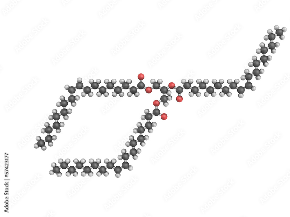 Sticker 3d model of triolein molecule