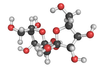 Chemical structure of sucrose