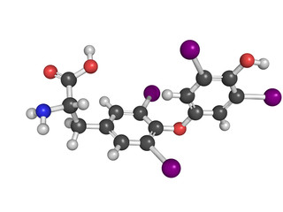 Thyroxine thyroid gland hormone molecule