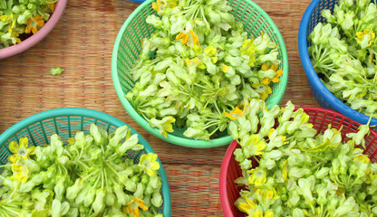 Dok Jik, eadible flowers