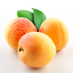 Apricot on a white background