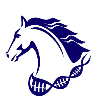 Horse symbol, Horse emblem