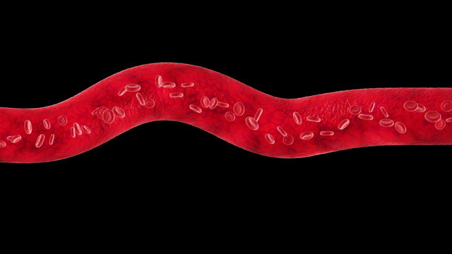 Veins with flowing Blood Cells. Every part is loop-able.