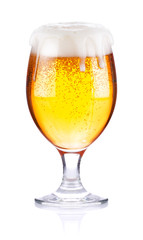 goblet with fresh beer