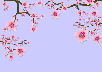Kirschblütenbaum Japan