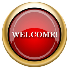 Welcome icon