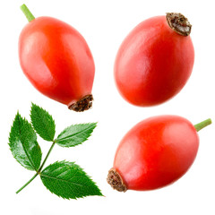 Rose hip isolated on a white. Collection - obrazy, fototapety, plakaty