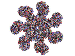 apoptosome is a large quaternary protein structure formed in the