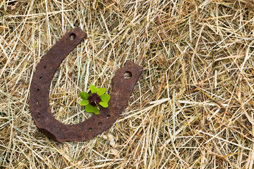 Hufeisen auf Stroh, vierblättriges Kleeblatt - horseshoe, clover