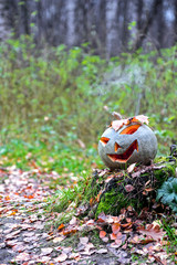 Halloween pumpkin with smoke in the forest