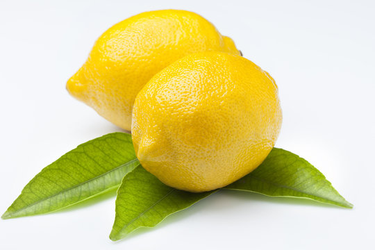 limoni