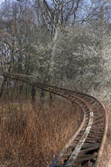 Abandoned roller coaster rails