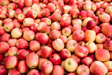 Heap of apples