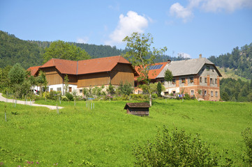 Fototapeta na wymiar Großer Bauernhof im Hintergebirge bei Großraming