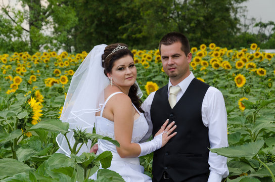 wedding couple in a sunflower field