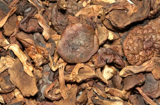 Dried mushrooms