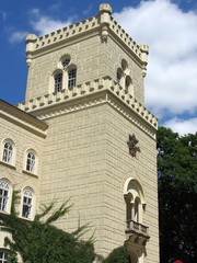 Fototapeta premium chesy