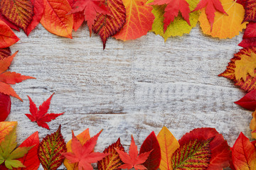 Autumn background - frame  from colorful leaves