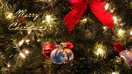 Christmas Tree Background