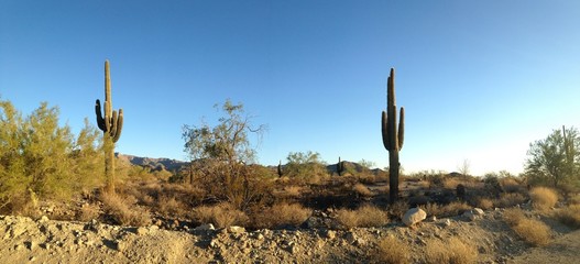 Phoenix Arizona