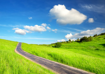 Rural road on the green meadow.
