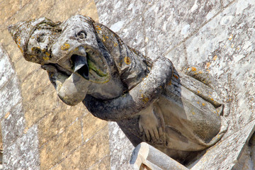 Une gargouille.
