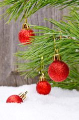 Christmas ornaments on a branch