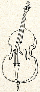 black and white upright bass drawing clip art preview