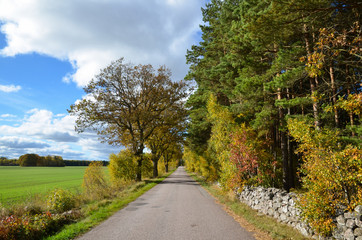 Fototapeta na wymiar Swedish country road