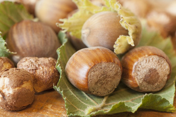 Hazelnuts fruits on wooden table top