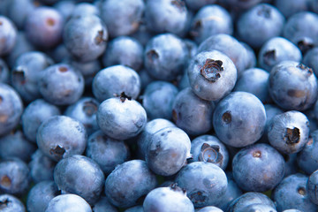 Blueberries macro photo