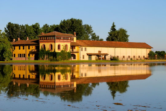 Cascinale