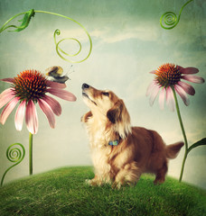 Dog and snail in friendship in fantasy landscape