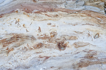 wood texture 6
