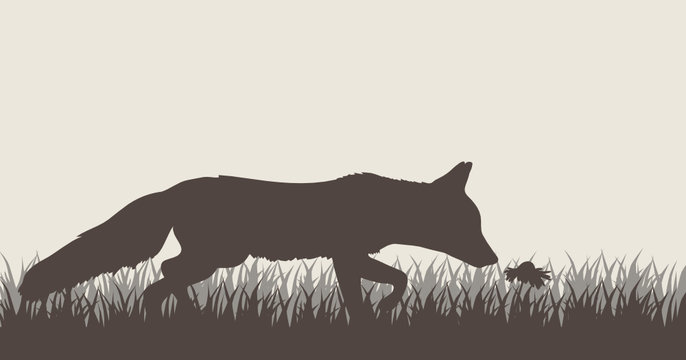 Fuchs