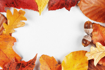 Blank paper with autumn leaves frame