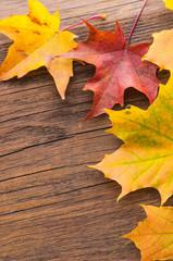 Farbenfroher Herbst, plakativer Hintergrund, Ahornblätter