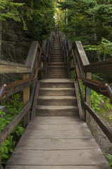 Stairs In Woods