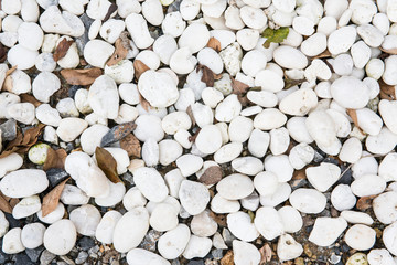Stone garden