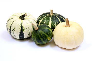 Courges en vert et blanc