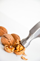 Cracking nuts isolated on white background