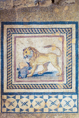 Fototapeta na wymiar Efeze, terrashuizen Mosaik