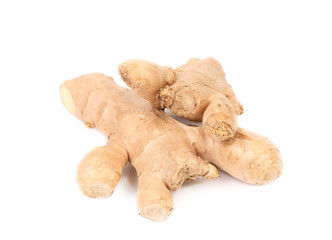 Close up of fresh ginger.