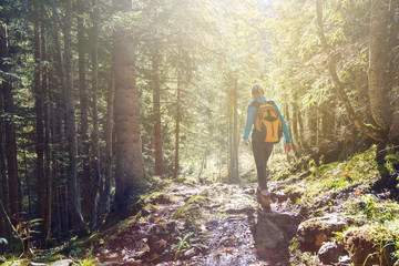Woman hiking in the forest - obrazy, fototapety, plakaty