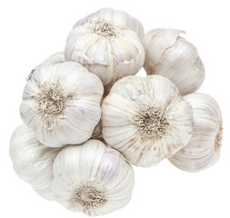 Isolated garlic bunch on white background
