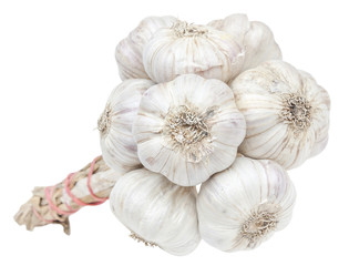 Isolated garlic bunch on white background