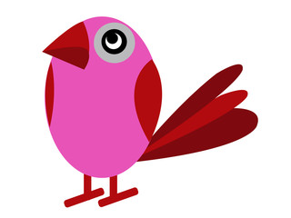 Cute birds in vector